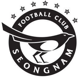 城南FC队徽